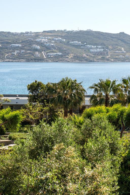 Orpheas Rooms Mykonos Town Exteriör bild